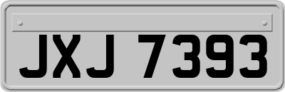 JXJ7393