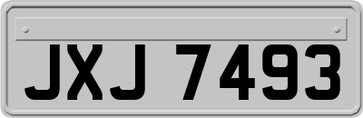 JXJ7493