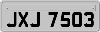 JXJ7503