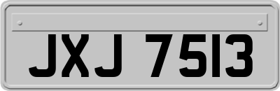 JXJ7513