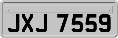JXJ7559