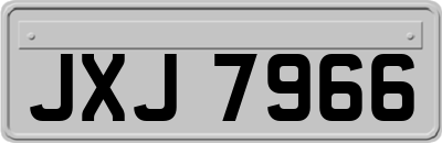 JXJ7966