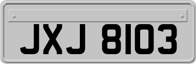 JXJ8103