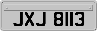 JXJ8113