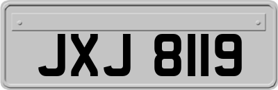 JXJ8119