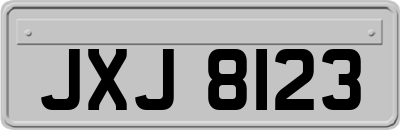 JXJ8123