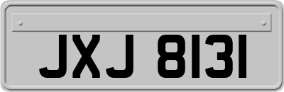 JXJ8131