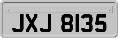 JXJ8135