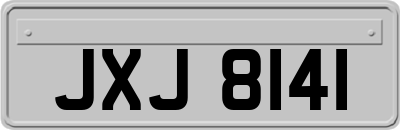JXJ8141
