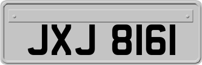 JXJ8161