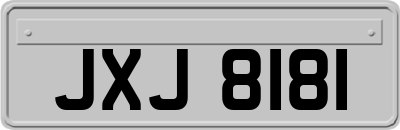 JXJ8181