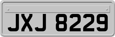 JXJ8229