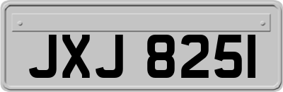 JXJ8251