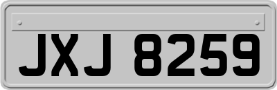 JXJ8259