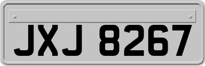 JXJ8267