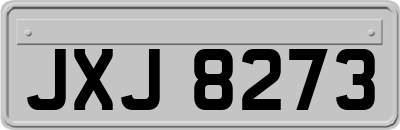 JXJ8273