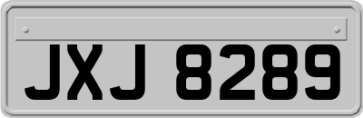 JXJ8289