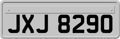 JXJ8290