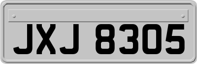 JXJ8305