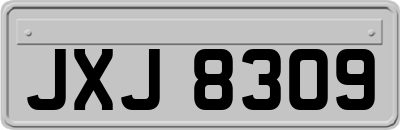 JXJ8309