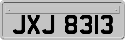 JXJ8313