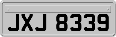 JXJ8339