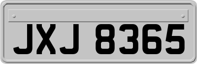 JXJ8365