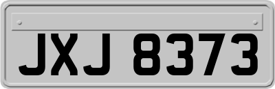 JXJ8373