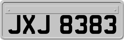 JXJ8383