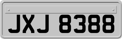JXJ8388
