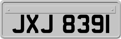 JXJ8391