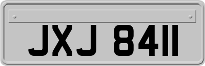 JXJ8411