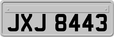 JXJ8443