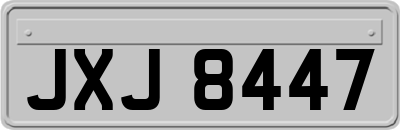 JXJ8447