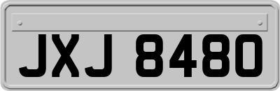 JXJ8480