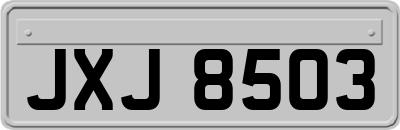 JXJ8503