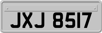 JXJ8517