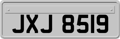 JXJ8519