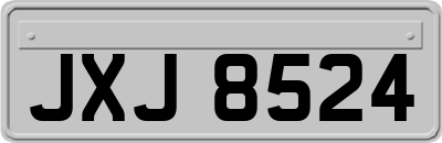 JXJ8524