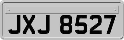 JXJ8527