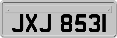 JXJ8531