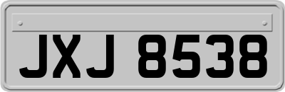 JXJ8538