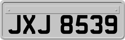 JXJ8539
