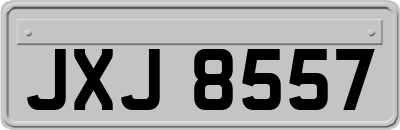 JXJ8557
