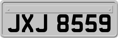 JXJ8559
