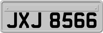 JXJ8566