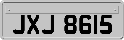 JXJ8615
