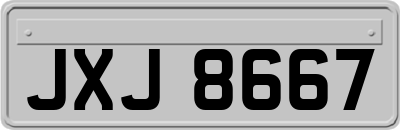 JXJ8667