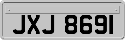 JXJ8691