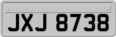 JXJ8738